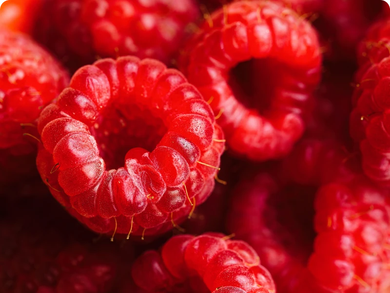 Macro shot of ripe raspberries